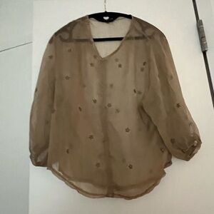 Sheer Brown Star Embroidered Women's Top
